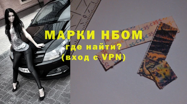 прущий лед Алзамай