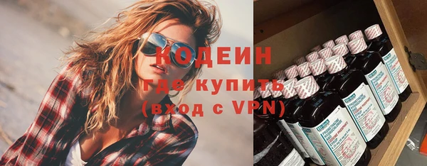 прущий лед Алзамай