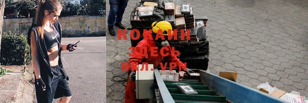 прущий лед Алзамай